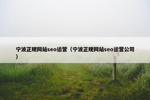 宁波正规网站seo运营（宁波正规网站seo运营公司）