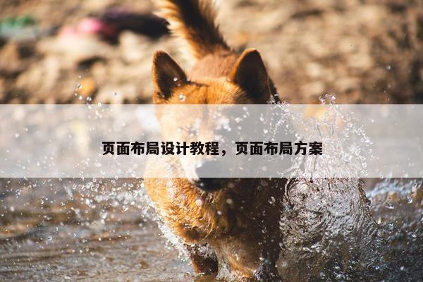 页面布局设计教程，页面布局方案