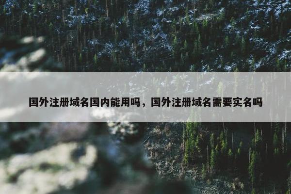 国外注册域名国内能用吗，国外注册域名需要实名吗