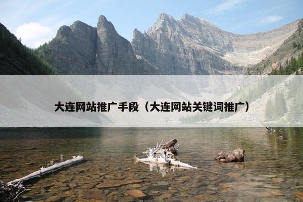 大连网站推广手段（大连网站关键词推广）