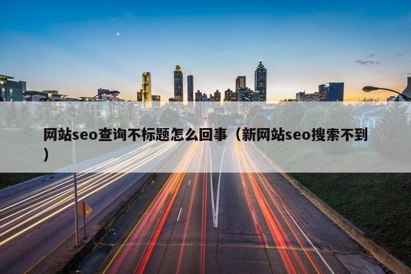 网站seo查询不标题怎么回事（新网站seo搜索不到）