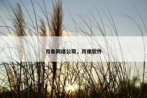 月象网络公司，月像软件