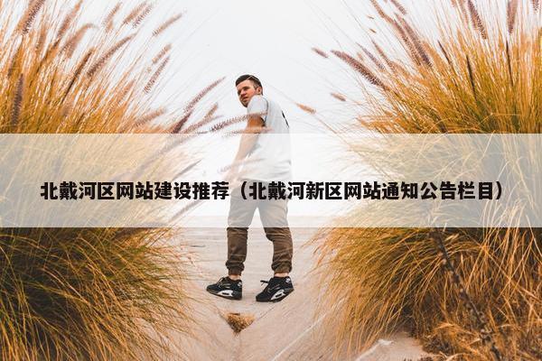 北戴河区网站建设推荐（北戴河新区网站通知公告栏目）