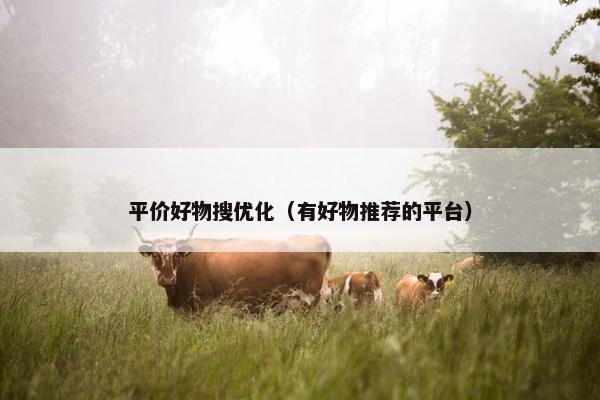 平价好物搜优化（有好物推荐的平台）