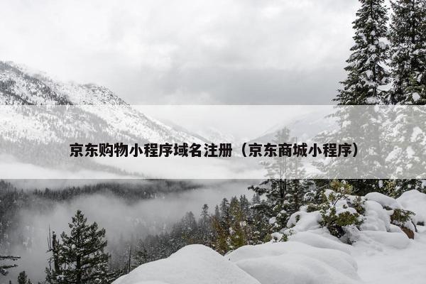 京东购物小程序域名注册（京东商城小程序）