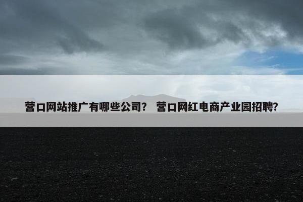 营口网站推广有哪些公司？ 营口网红电商产业园招聘？