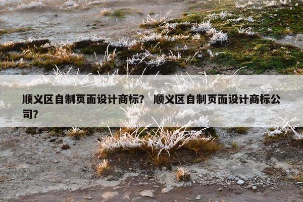 顺义区自制页面设计商标？ 顺义区自制页面设计商标公司？
