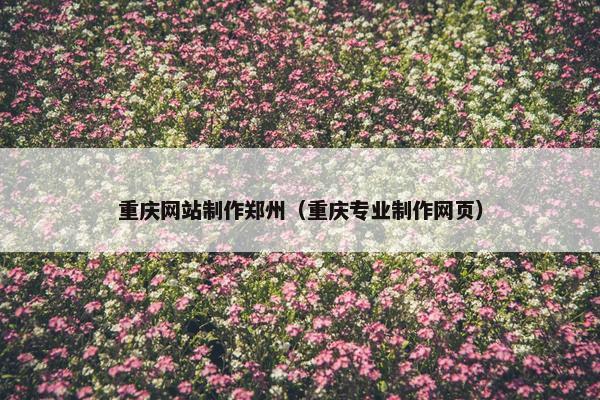 重庆网站制作郑州（重庆专业制作网页）