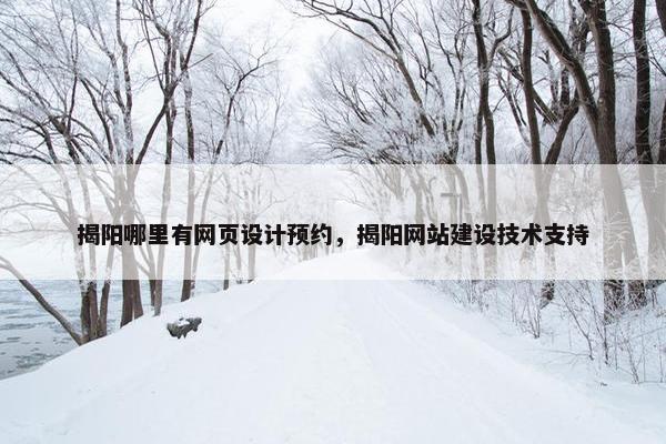 揭阳哪里有网页设计预约，揭阳网站建设技术支持