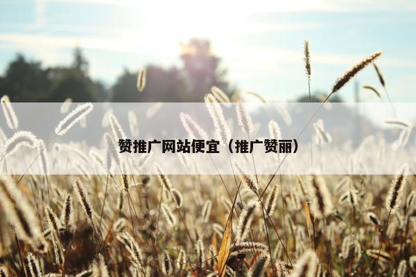 赞推广网站便宜（推广赞丽）