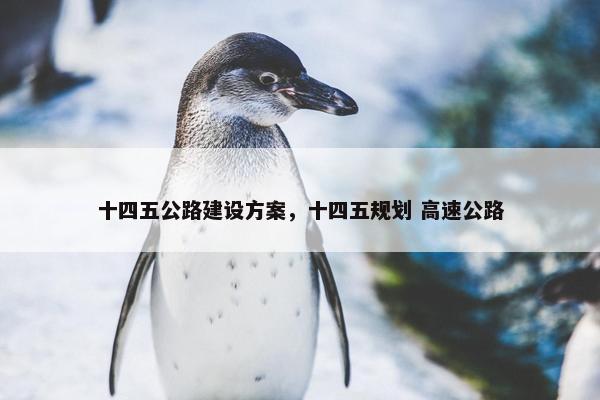 十四五公路建设方案，十四五规划 高速公路