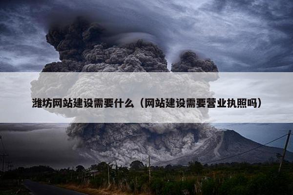 潍坊网站建设需要什么（网站建设需要营业执照吗）