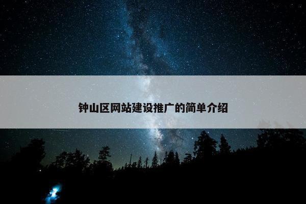 钟山区网站建设推广的简单介绍