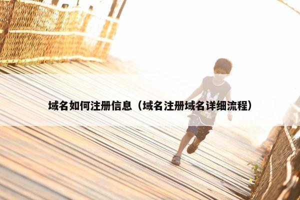 域名如何注册信息（域名注册域名详细流程）