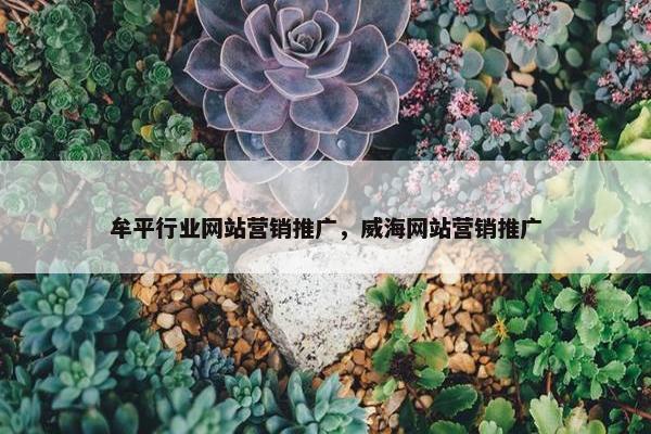 牟平行业网站营销推广，威海网站营销推广