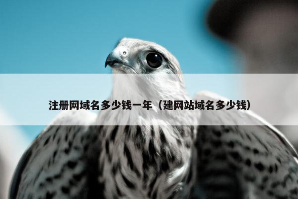 注册网域名多少钱一年（建网站域名多少钱）
