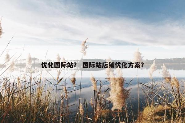 优化国际站？ 国际站店铺优化方案？