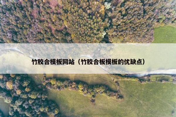 竹胶合模板网站（竹胶合板模板的优缺点）