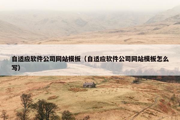 自适应软件公司网站模板（自适应软件公司网站模板怎么写）