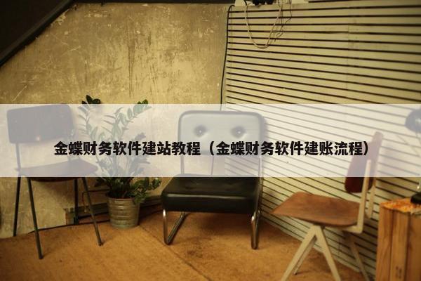 金蝶财务软件建站教程（金蝶财务软件建账流程）