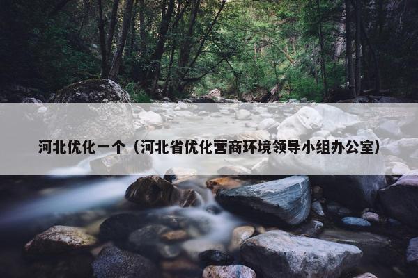 河北优化一个（河北省优化营商环境领导小组办公室）