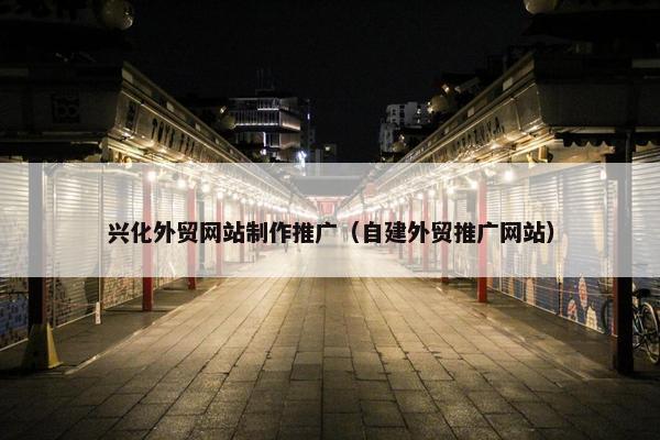 兴化外贸网站制作推广（自建外贸推广网站）