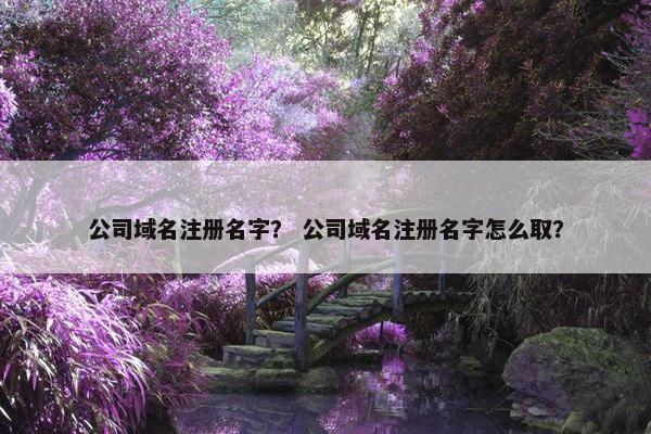 公司域名注册名字？ 公司域名注册名字怎么取？