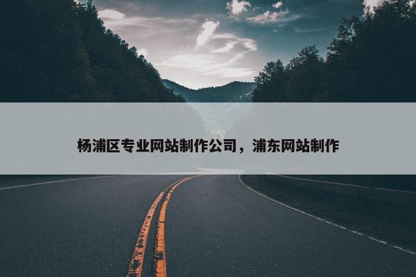 杨浦区专业网站制作公司，浦东网站制作
