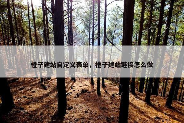 橙子建站自定义表单，橙子建站链接怎么做