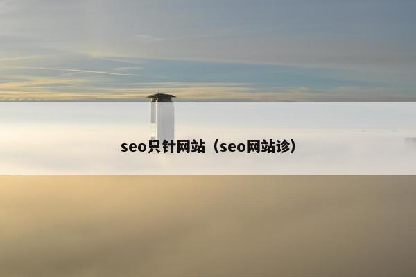 seo只针网站（seo网站诊）