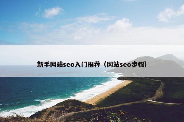 新手网站seo入门推荐（网站seo步骤）
