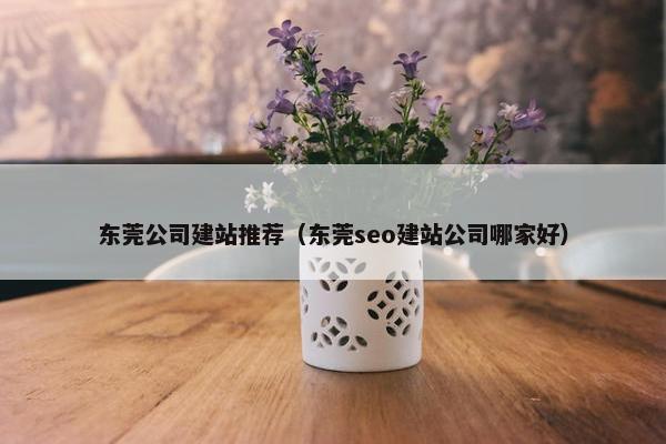 东莞公司建站推荐（东莞seo建站公司哪家好）