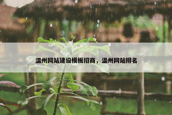 温州网站建设模板招商，温州网站排名