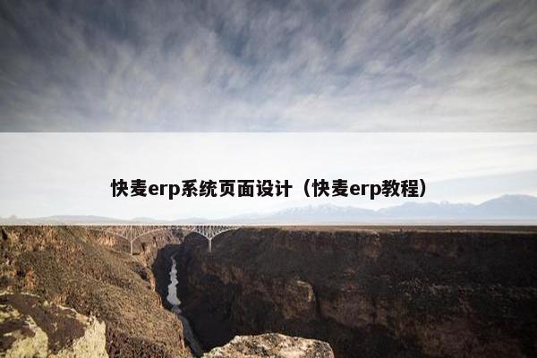 快麦erp系统页面设计（快麦erp教程）
