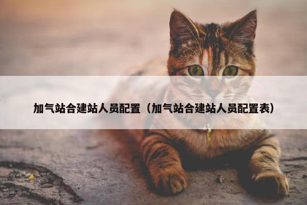 加气站合建站人员配置（加气站合建站人员配置表）