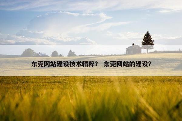 东莞网站建设技术精粹？ 东莞网站的建设？