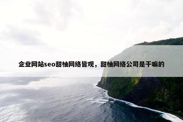 企业网站seo甜柚网络皆观，甜柚网络公司是干嘛的