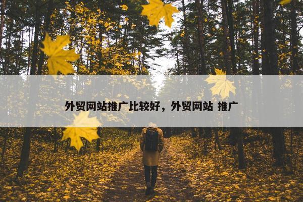 外贸网站推广比较好，外贸网站 推广