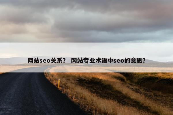 网站seo关系？ 网站专业术语中seo的意思？