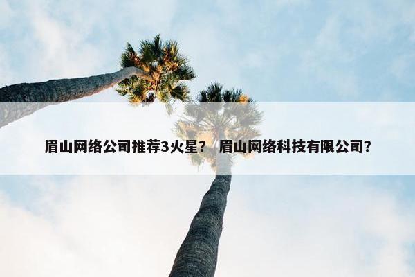 眉山网络公司推荐3火星？ 眉山网络科技有限公司？