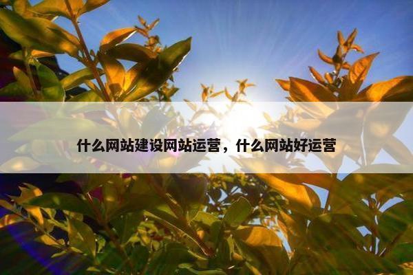 什么网站建设网站运营，什么网站好运营