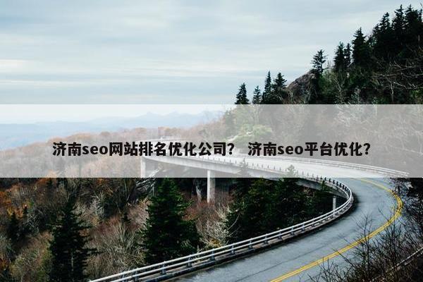 济南seo网站排名优化公司？ 济南seo平台优化？