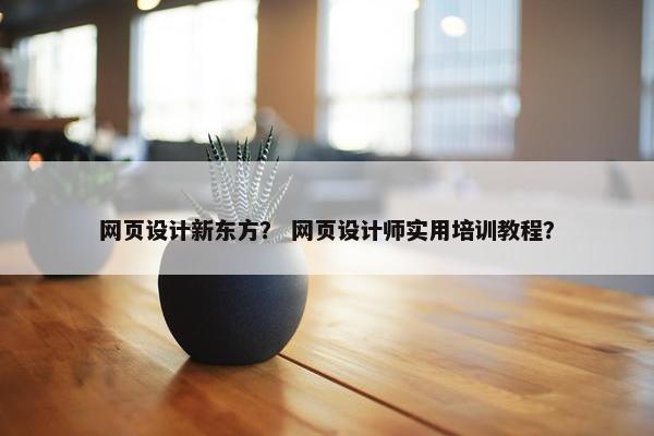 网页设计新东方？ 网页设计师实用培训教程？