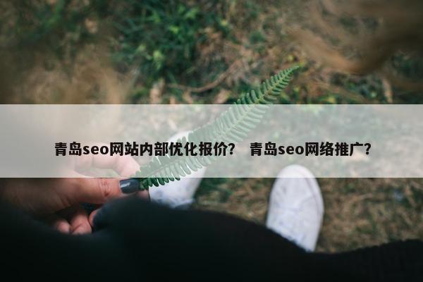 青岛seo网站内部优化报价？ 青岛seo网络推广？