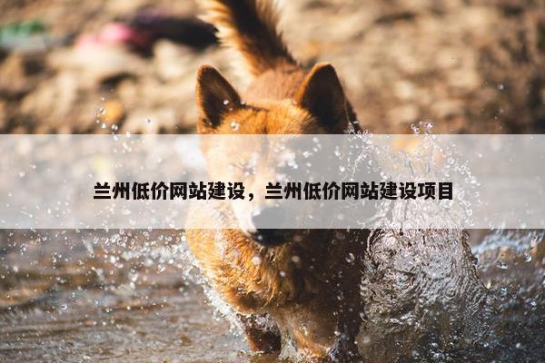 兰州低价网站建设，兰州低价网站建设项目