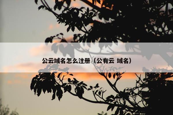 公云域名怎么注册（公有云 域名）
