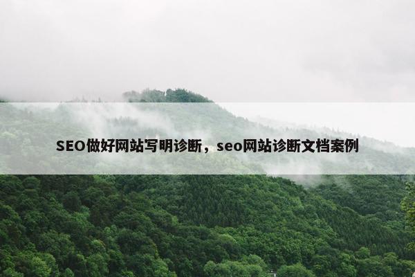 SEO做好网站写明诊断，seo网站诊断文档案例