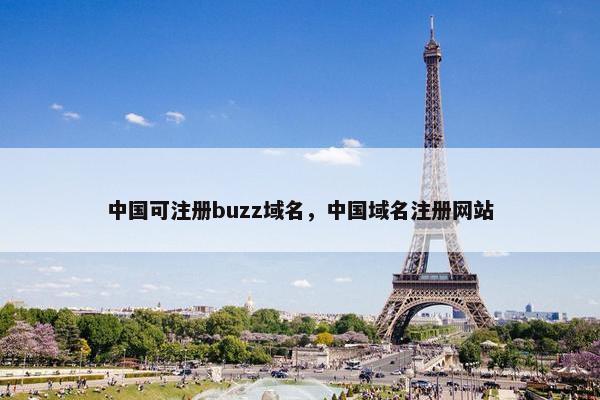 中国可注册buzz域名，中国域名注册网站