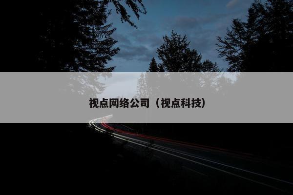 视点网络公司（视点科技）