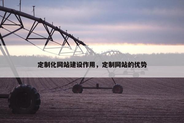 定制化网站建设作用，定制网站的优势